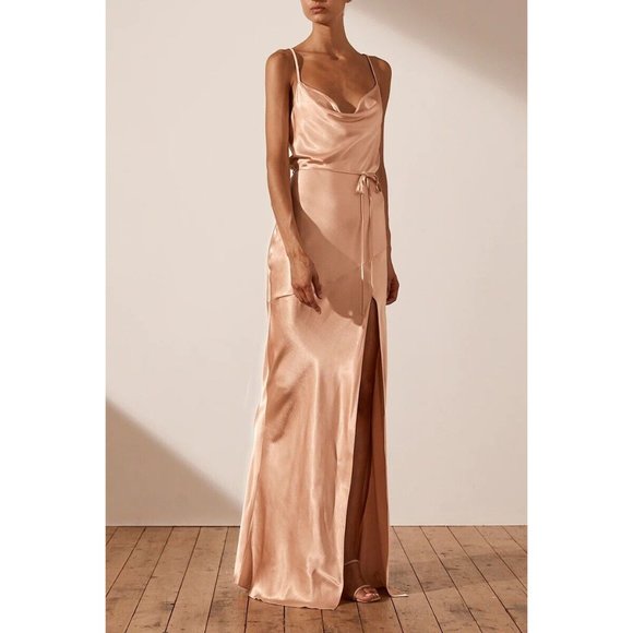 Shona Joy Dresses & Skirts - Shona Joy La Lune Bias Cowl Maxi Dress Desert Rose Beige